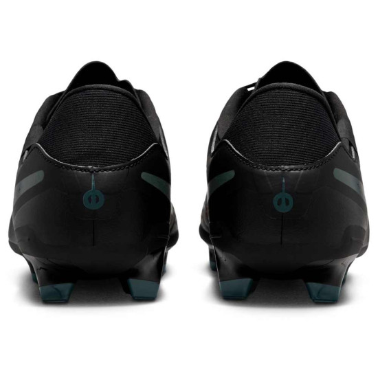 Nike Legend 10 Academy FG/MG
